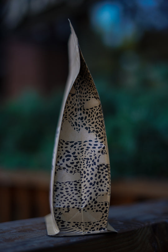 FTV & CESMACH - Chiapas, Mexico