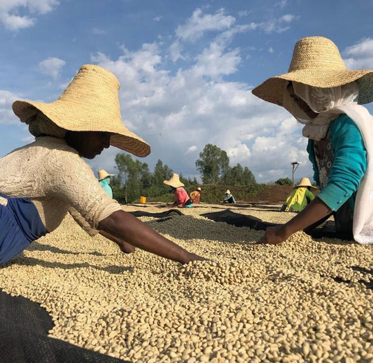Guji Natural
