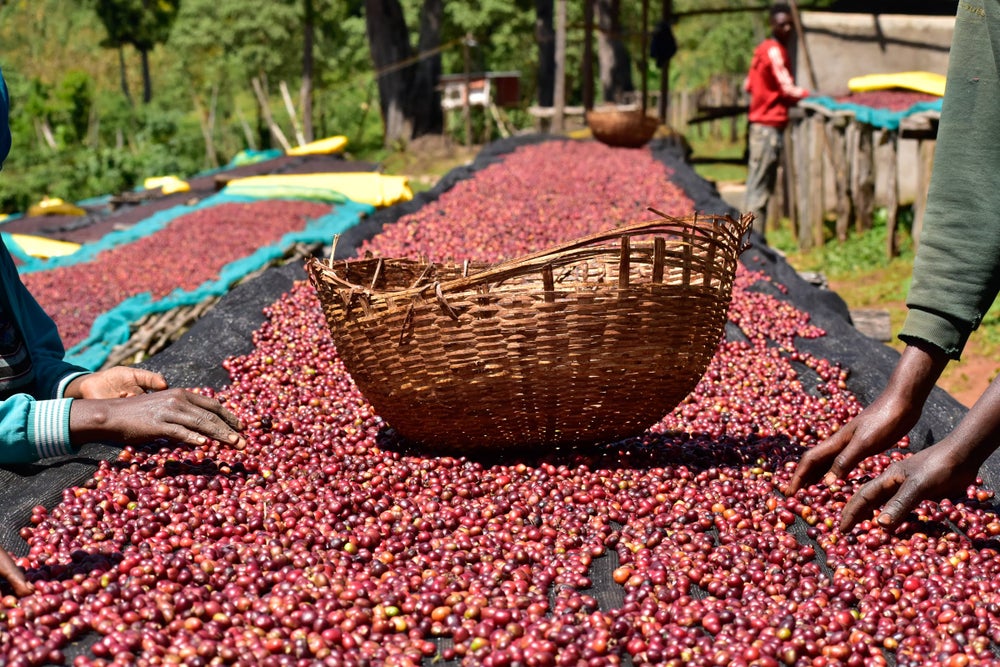 Guji Natural