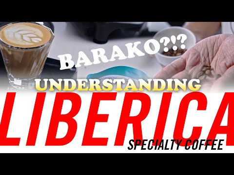 Kapeng Barako - Lipa, Batangas (Philippine Liberica)